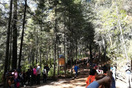 Tour image 4