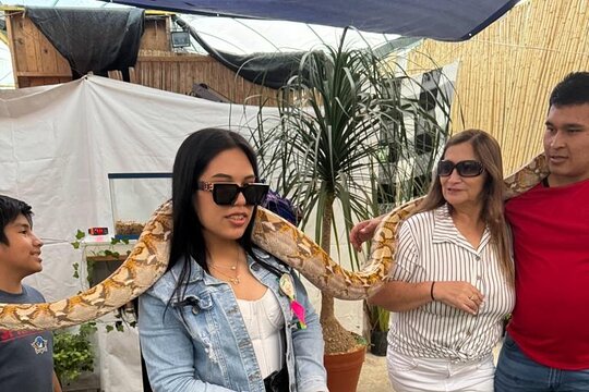 Tour image 5
